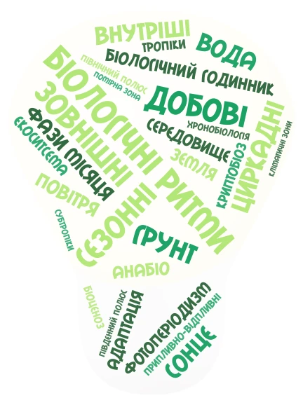 адаптивні ритми word cloud art