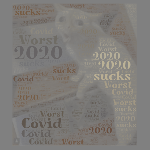 The life in 2020 a.k.a. (the worst year ever) word cloud art