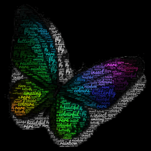 Rainbow Butterfly word cloud art