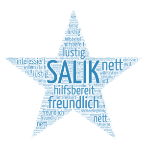 Salik word cloud art