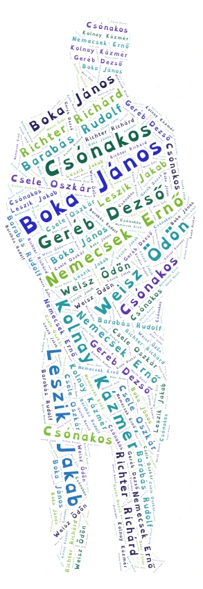 pálutszaifiúk word cloud art