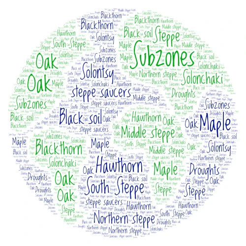 Cтеп word cloud art