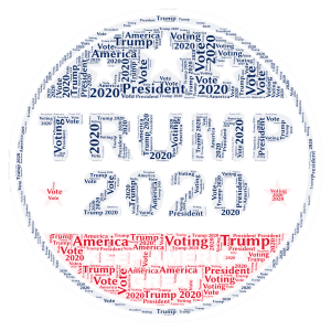 Trump 2020 word cloud art