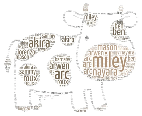 Year Six word cloud art