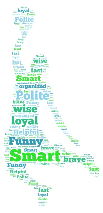 Stra word cloud art