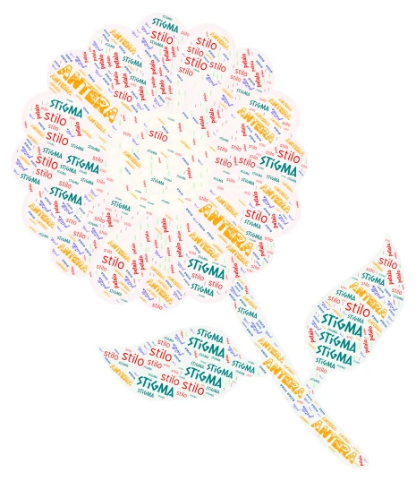 struttura del fiore word cloud art