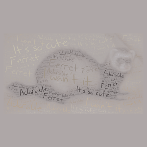 I Wan't a Ferret word cloud art