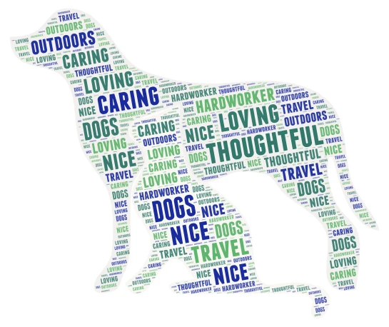 Jayce word cloud art