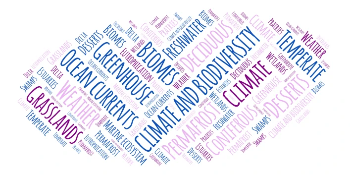 Lj word cloud art