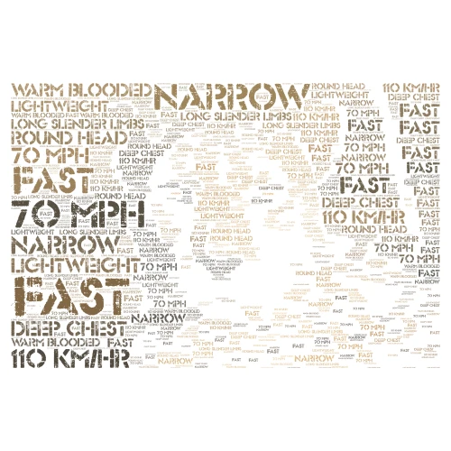 CHEETAH word cloud art