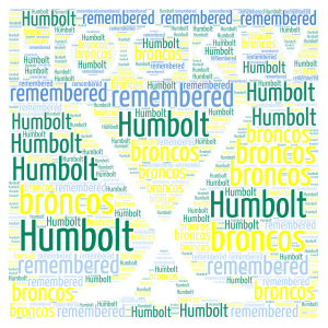 Broncos word cloud art