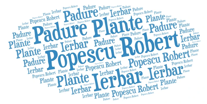 Coperta word cloud art