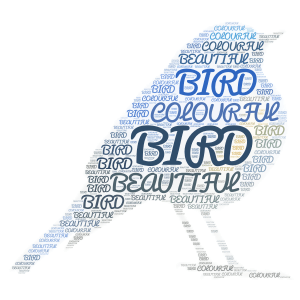 Blue bird word cloud art