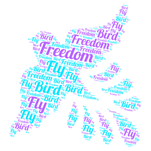Flying Freedom word cloud art