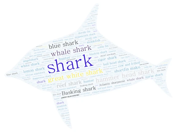 shark word cloud art
