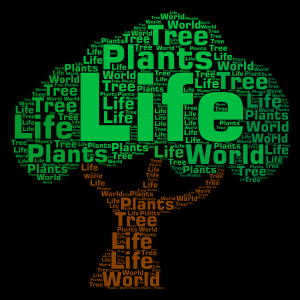 Plant life word cloud art