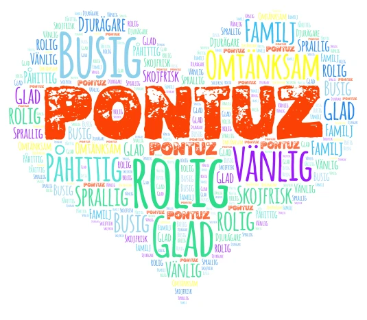 Pontuz word cloud art