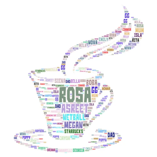 Rosa word cloud art