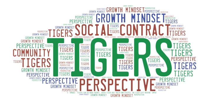 SMS Tigers 8th Grade Humanities  word cloud art