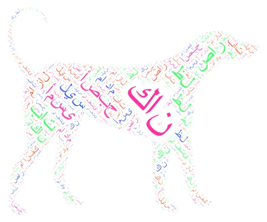 كان وأخواتها word cloud art