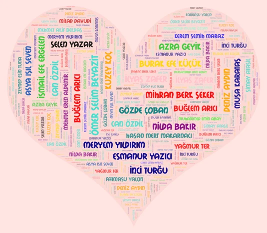 4-E AYŞE word cloud art