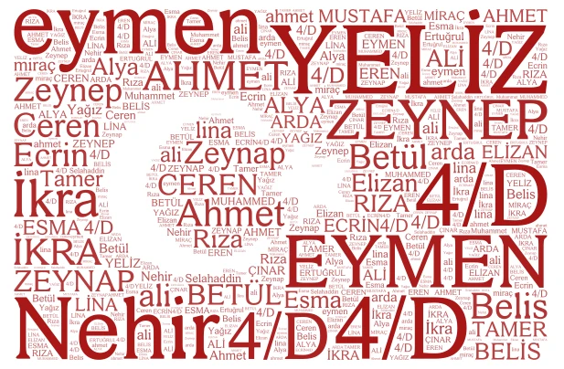 bayrak word cloud art