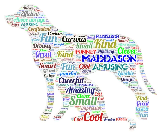 Maddason word cloud art