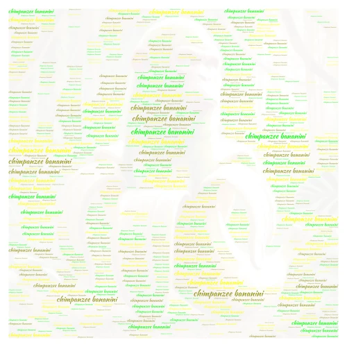chimpanzee bananini word cloud art