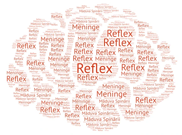 Spinal Reflex word cloud art