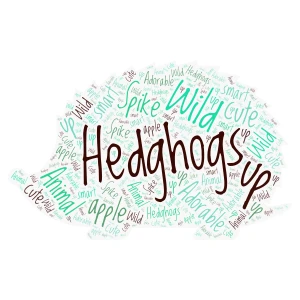 Hedgehog word cloud art