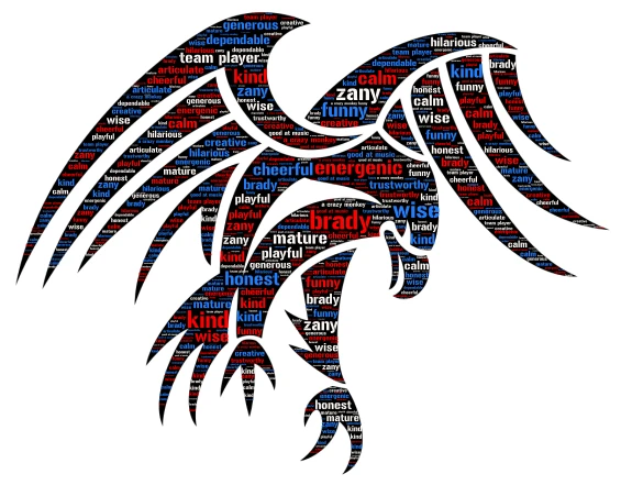 brady word cloud art