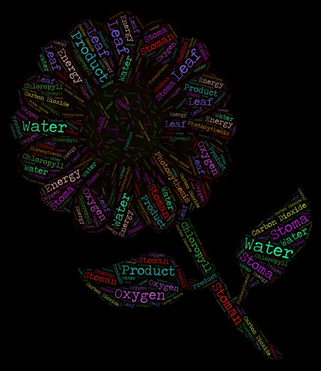 photosynthesis- kinley word cloud art