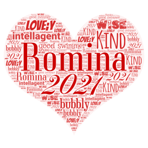 Romina example  word cloud art