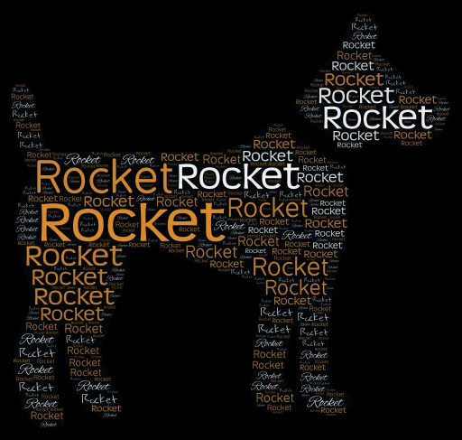 Rocket word cloud art