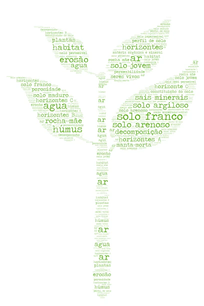 beatriz solos word cloud art