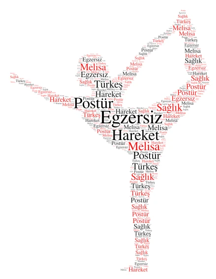 Melisa word cloud art