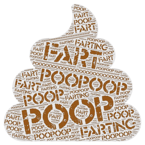 poop word cloud art