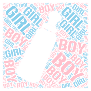 boy or girl gender reveal word cloud art