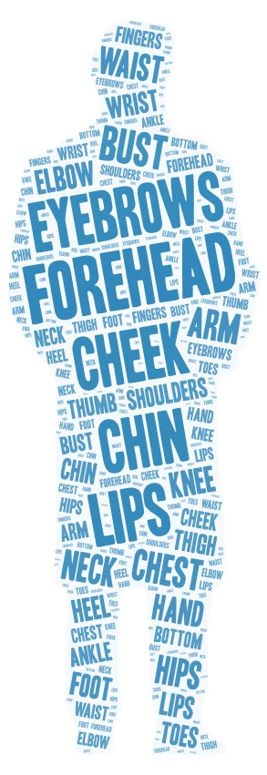 Parts of the body word cloud art
