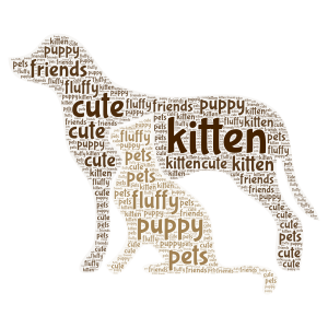 We all love our pets. comment if u have one and what it's name is. word cloud art