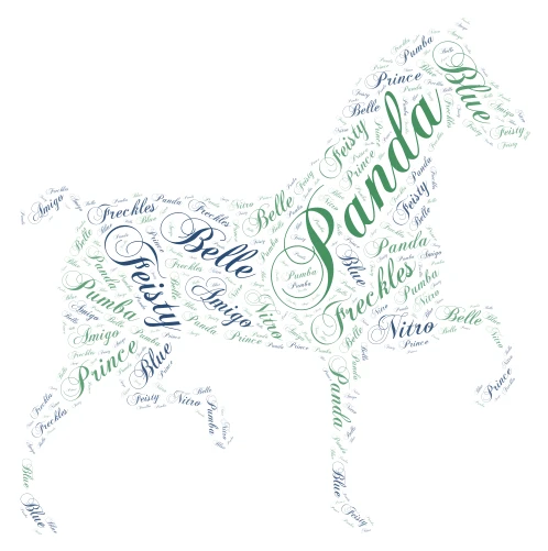 All Horses word cloud art