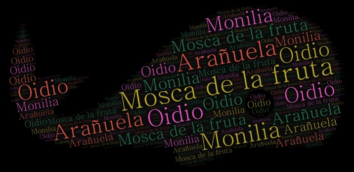 yuyuuu word cloud art