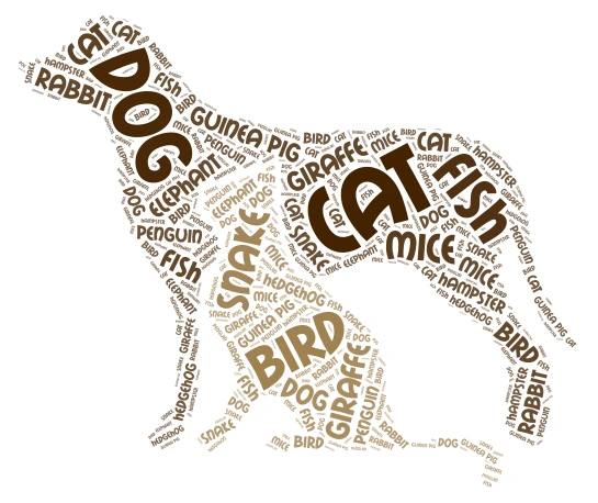 Animals word cloud art