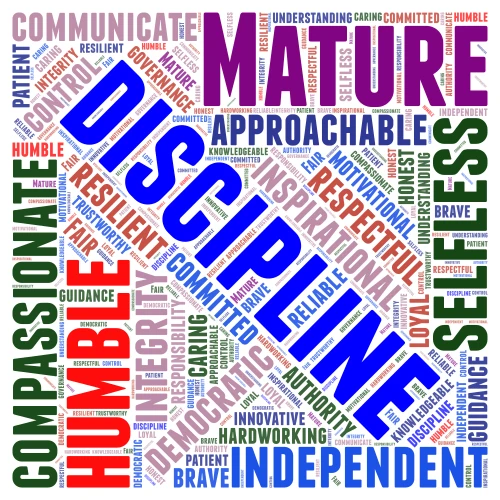 Qualities of a Good Leader word cloud art