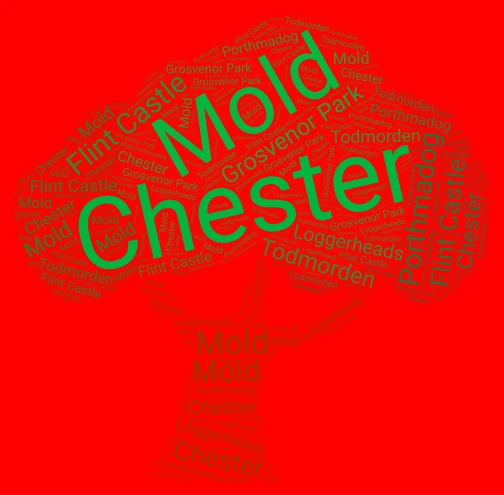 Euan word cloud art