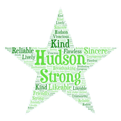 HUDSON word cloud art