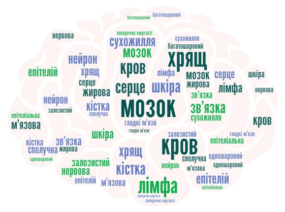 тканини людини word cloud art