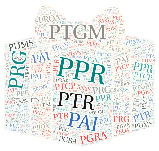 Complessità del Governo del Territorio Metropolitano word cloud art