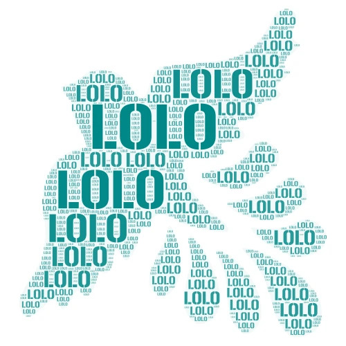 LOLO 1 word cloud art