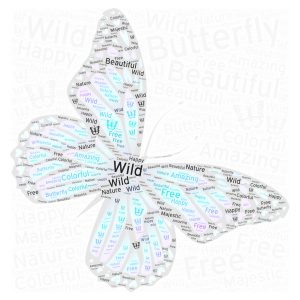 Butterfly word cloud art